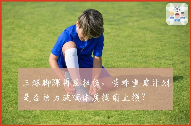 三球脚踝再度扭伤,黄蜂重建计划是否该为玻璃体质提前止损?