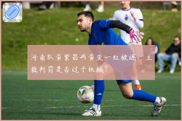 河南队黄紫昌两黄变一红被逐,主裁判罚是否过于机械?